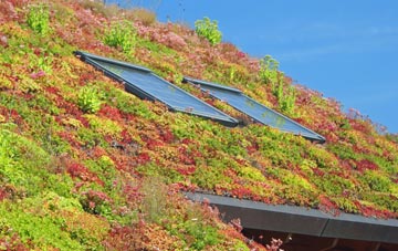 Cairncross living roof systems