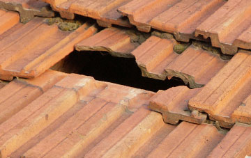 roof repair Cairncross, Angus